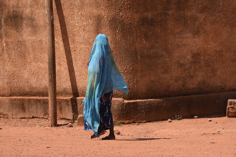 West African Cultural Tour - From Abidjan to Ghana and Togo