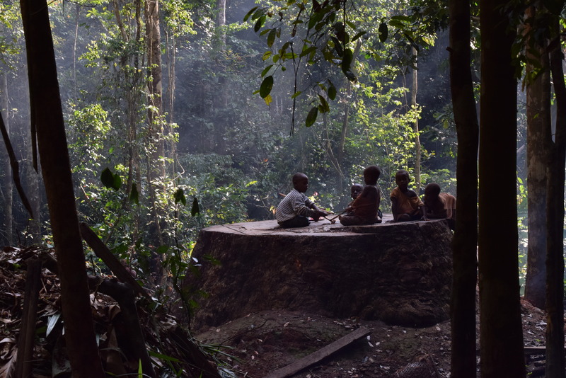 Cameroon Cultural Journey - Douala to Yaounde via Bafoussam